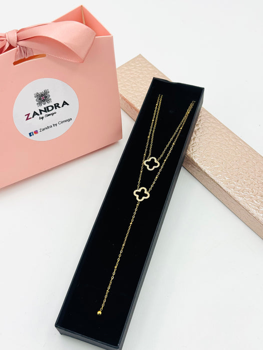 Coffret Duo collier trèfle Brigitte